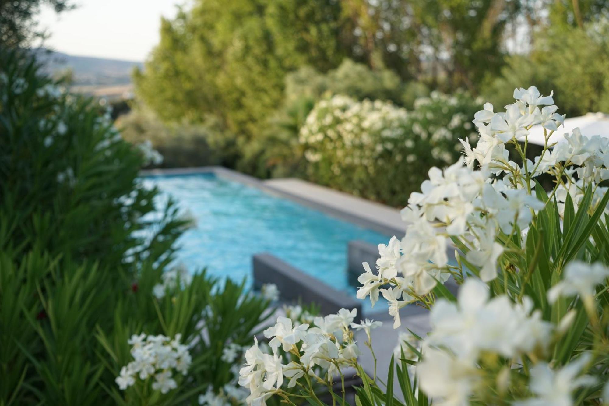 El Toro Blanco Luxury Villa In Andalucia Ronda Exterior photo