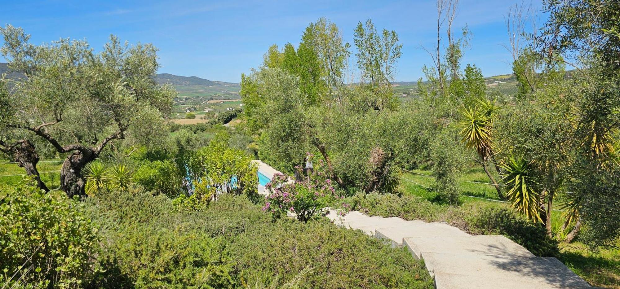 El Toro Blanco Luxury Villa In Andalucia Ronda Exterior photo