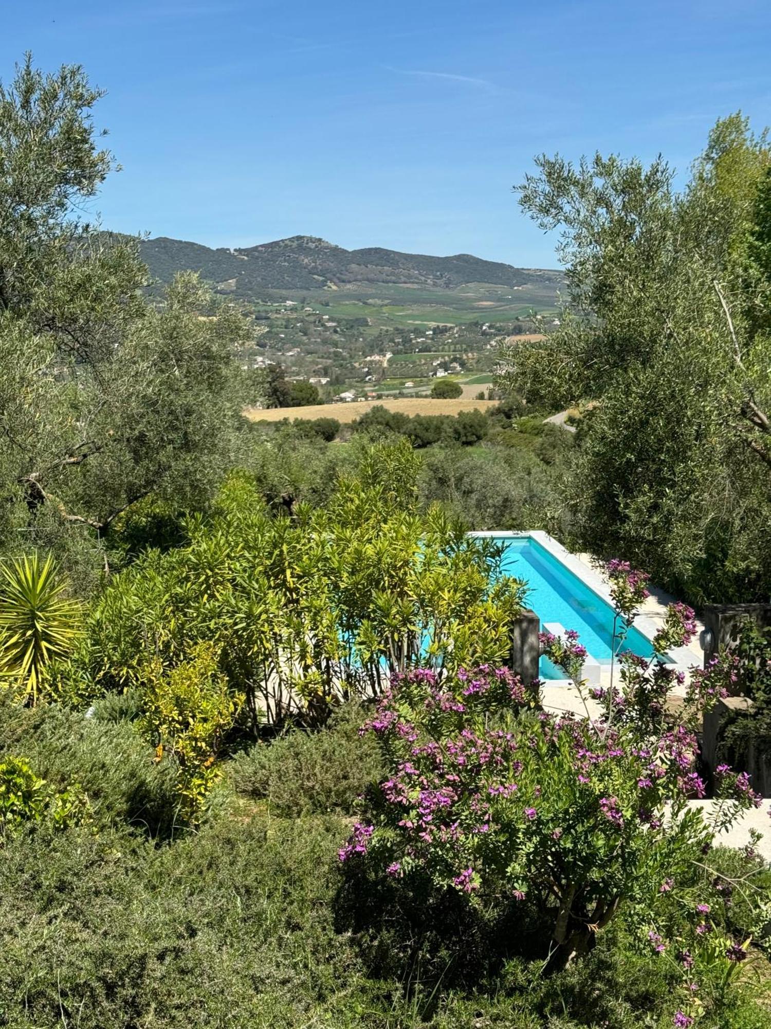 El Toro Blanco Luxury Villa In Andalucia Ronda Exterior photo